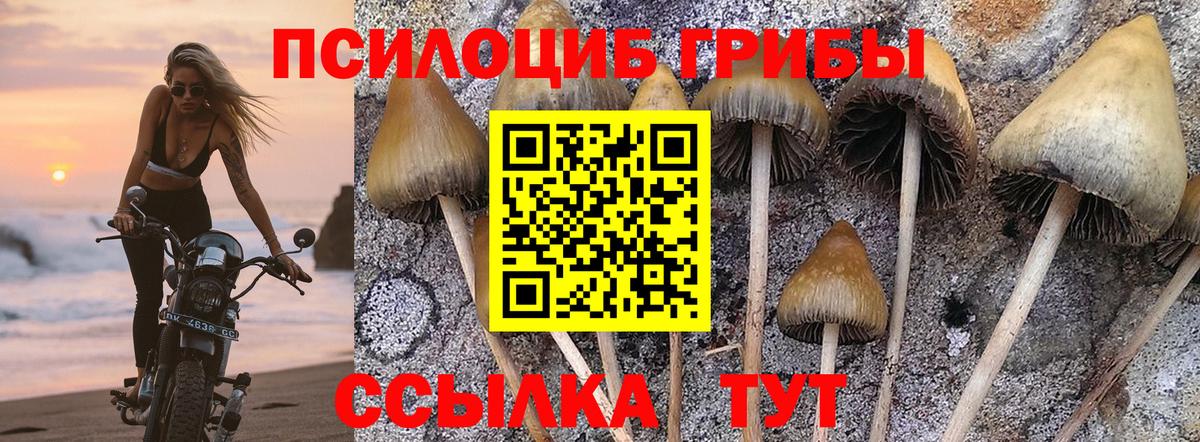 Псилоцибиновые грибы ЛСД  Вход с VPN  Сорочинск  Псилоцибиновые грибы прущие грибы 